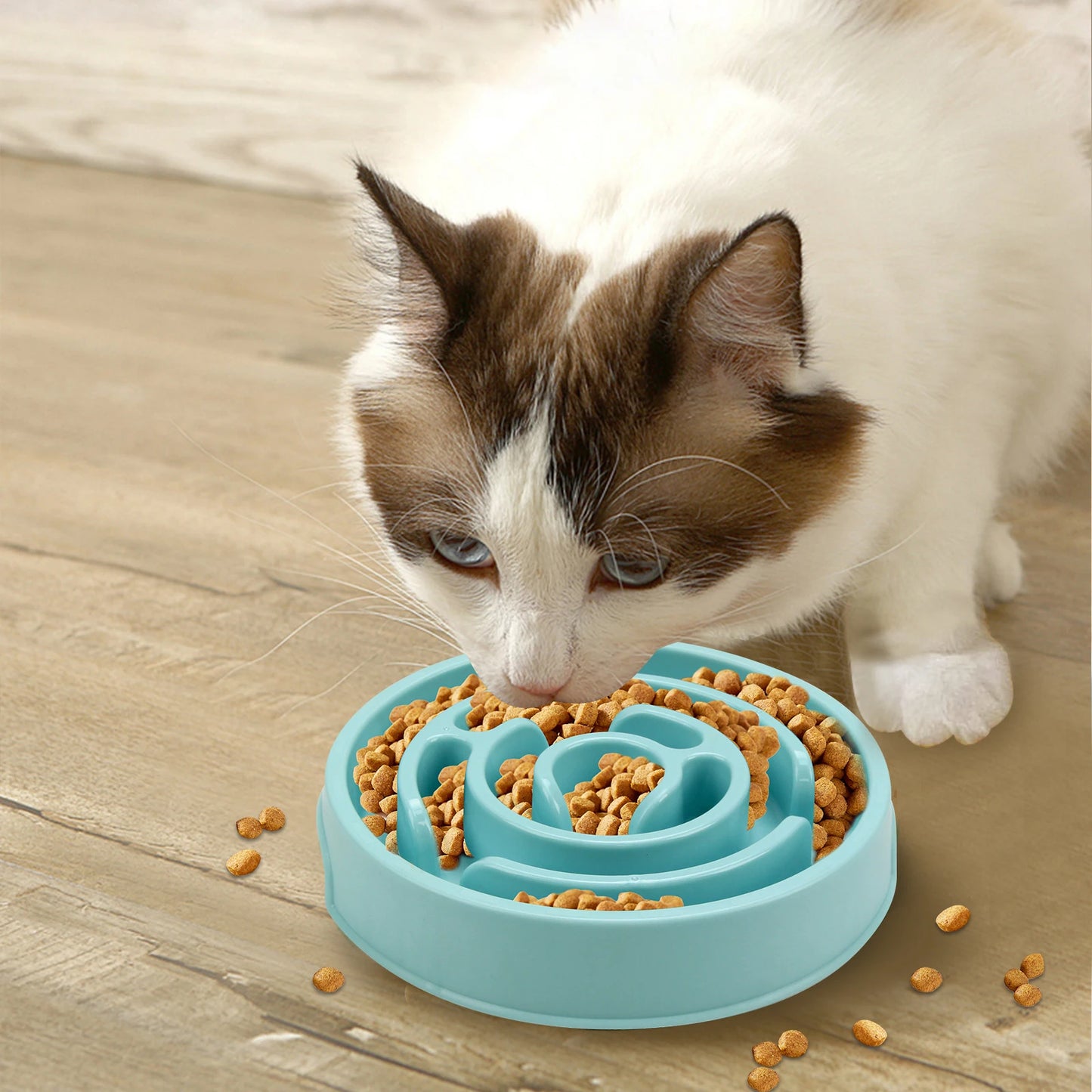 Slow Feeder Dog Bowl – Anti-Gulping Non-Slip Dish for All Sizes
