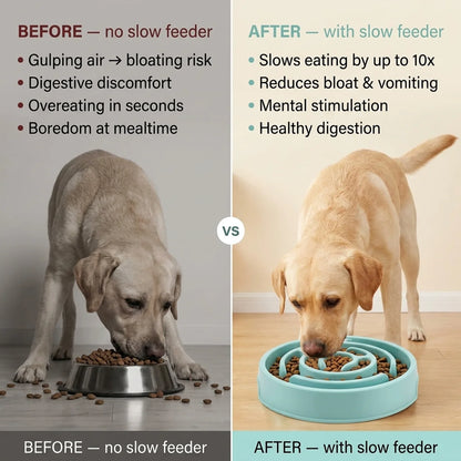 Slow Feeder Dog Bowl – Anti-Gulping Non-Slip Dish for All Sizes