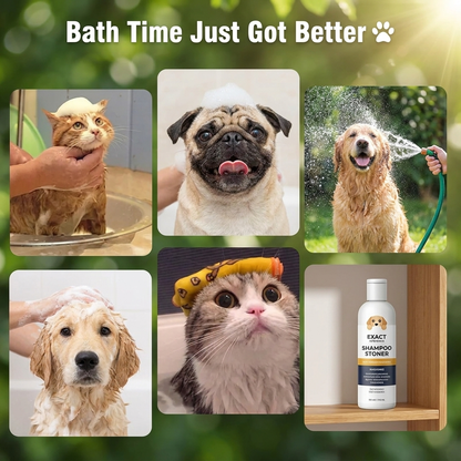 2-in-1 Puppy Shampoo & Conditioner – Natural Moisturizing Formula for Sensitive Skin