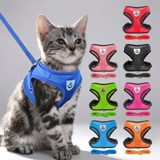 Adjustable Mesh Cat & Dog Harness Vest with Leash – Escape-Proof